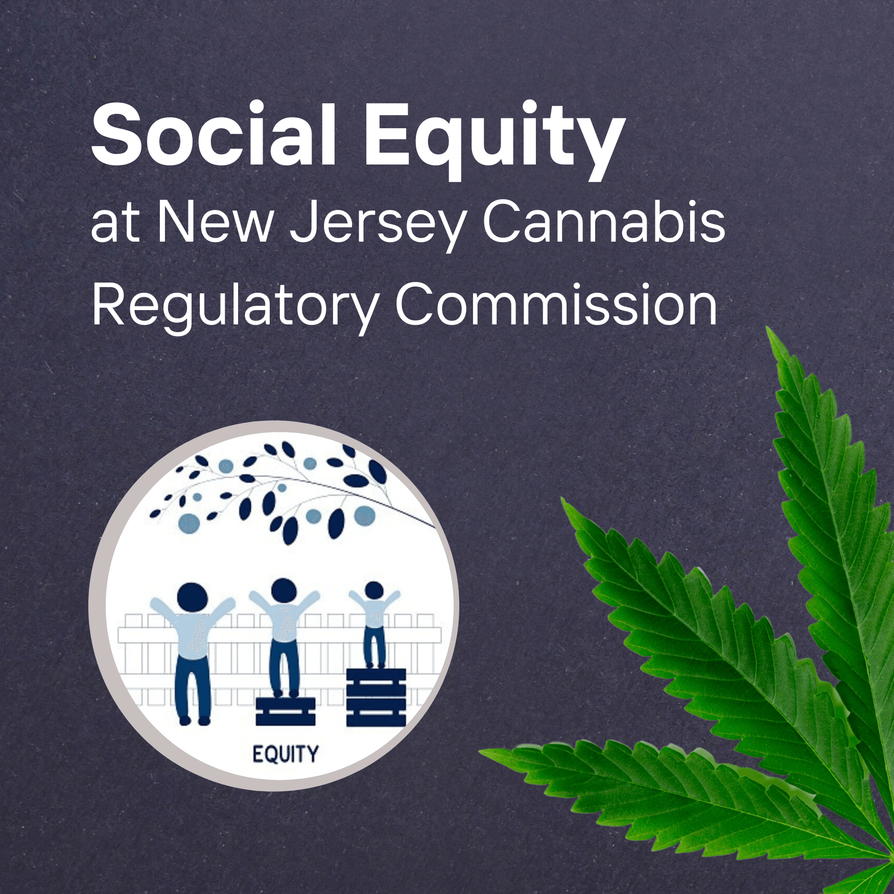 Social Equity at the NJ Cannabis Regulatory Commission